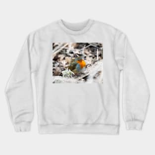 Frosty Robin Crewneck Sweatshirt